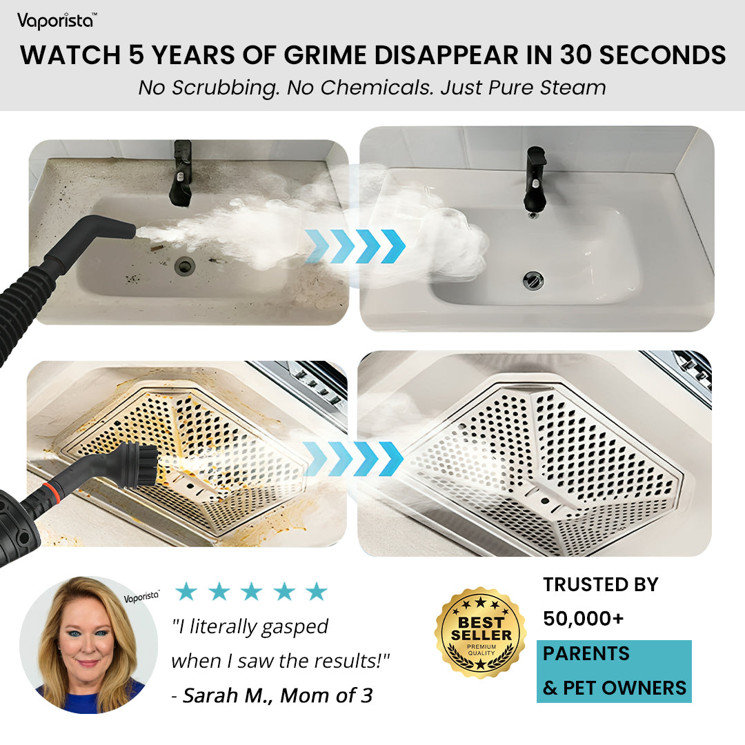 SteamBurst Steam Cleaner