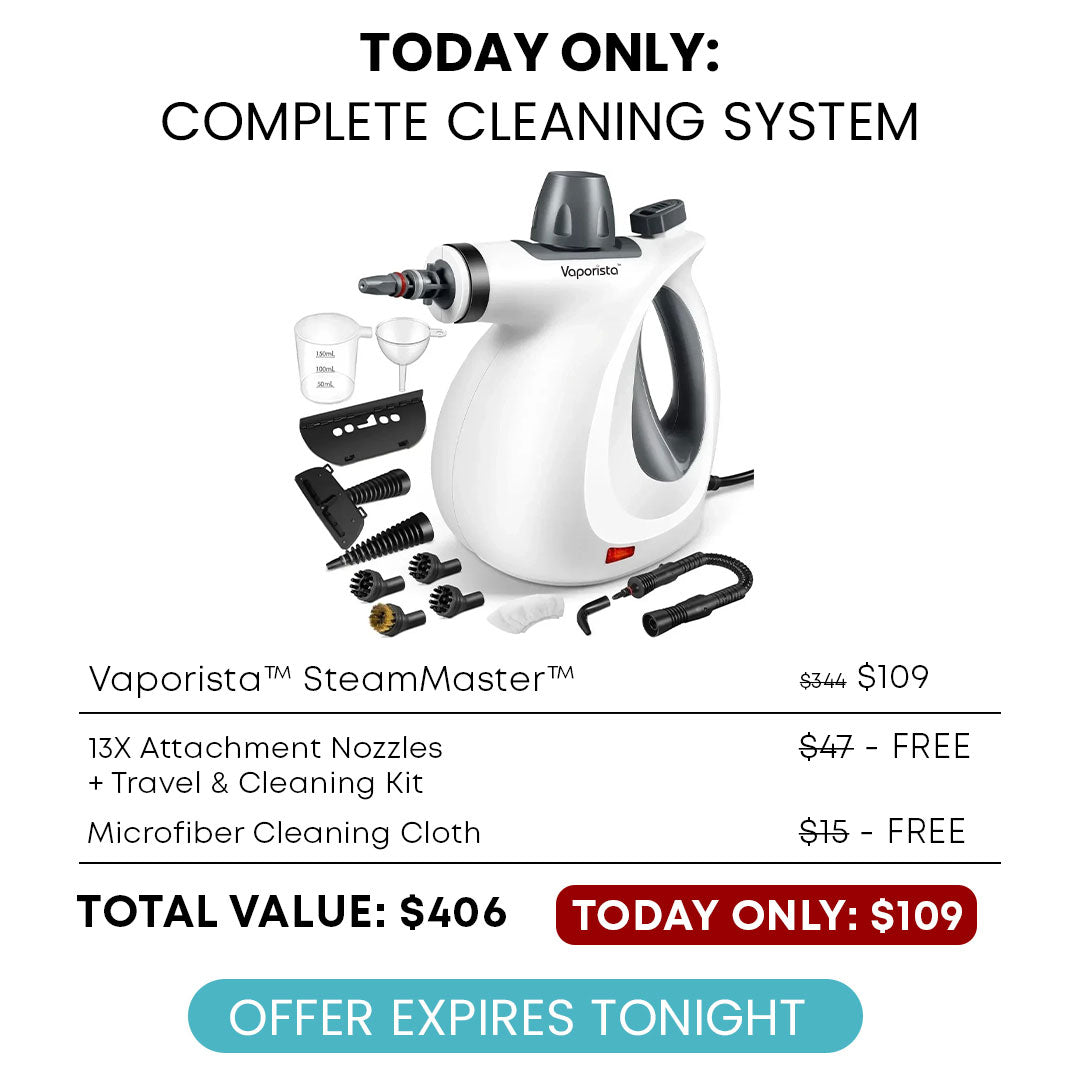 SteamBurst Steam Cleaner